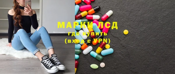 прущие грибы Алзамай