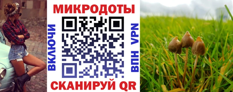 Псилоцибиновые грибы Psilocybine cubensis  сколько стоит  Серов 