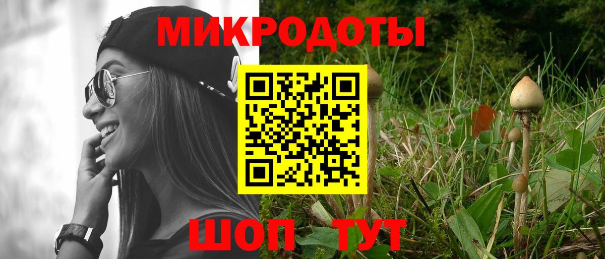 Галлюциногенные грибы Cubensis Серов