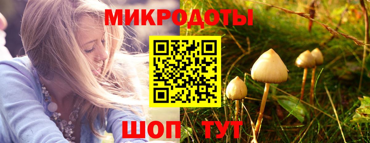 Галлюциногенные грибы Psilocybe  где продают   Серов  Вход с VPN 